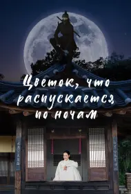 Ночной цветок (сериал, 1 сезон, 2024)