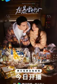 Во время снежной бури (сериал, 1 сезон, 2024)