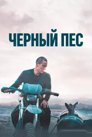Чёрный пёс (фильм, 2024)